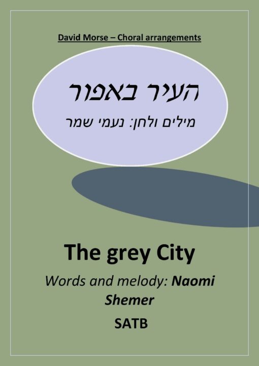 העיר באפור